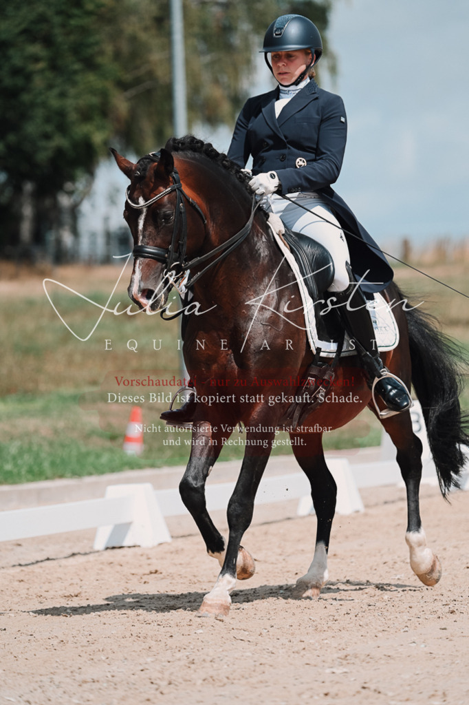 DSC_3930 | Pferde- und Turnierfotografie in Westsachsen. Pferdeportraits, Auftragszeichnungen und intuitive Kunst.