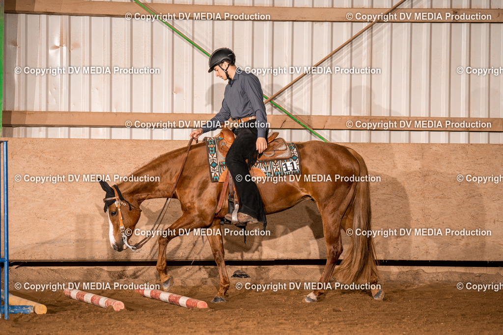 BA400009 | dv-media-shop - Realisiert mit Pictrs.com