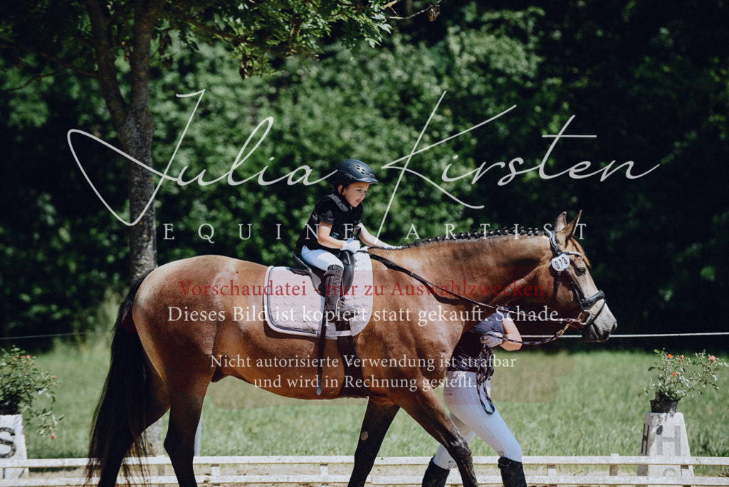 DSC_2629 | Pferde- und Turnierfotografie in Westsachsen. Pferdeportraits, Auftragszeichnungen und intuitive Kunst.