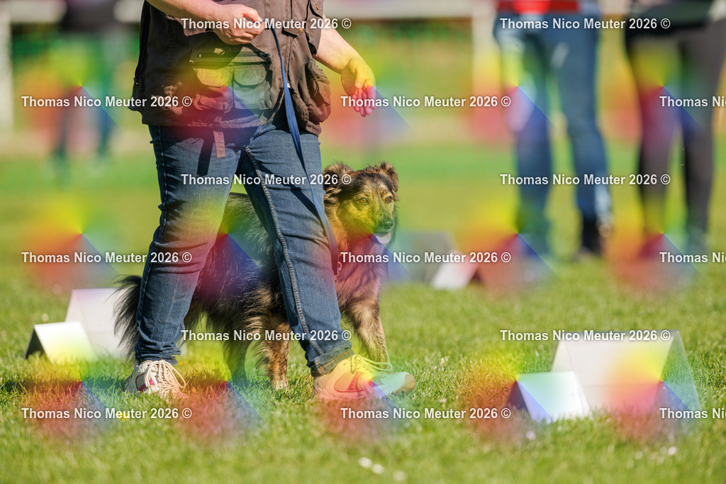 Thomas_Nico_Meuter(C)_04. Oktober 2026_223A1298 | Bild von Thomas Nico Meuter - Realisiert mit Pictrs.com