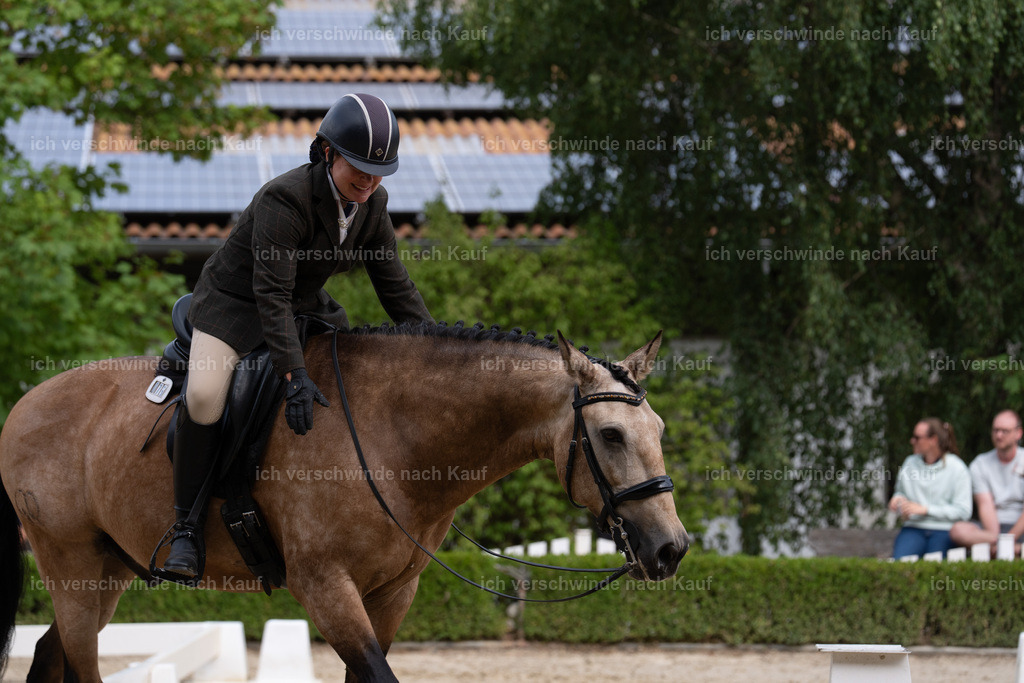 WS_DR_75_sinafilmart_IN00928 | working equitationturnier fotograf videograf stoibphotography marixx film working equitation deutschland reitsport turnierfotografie eventfotografie equestrian events