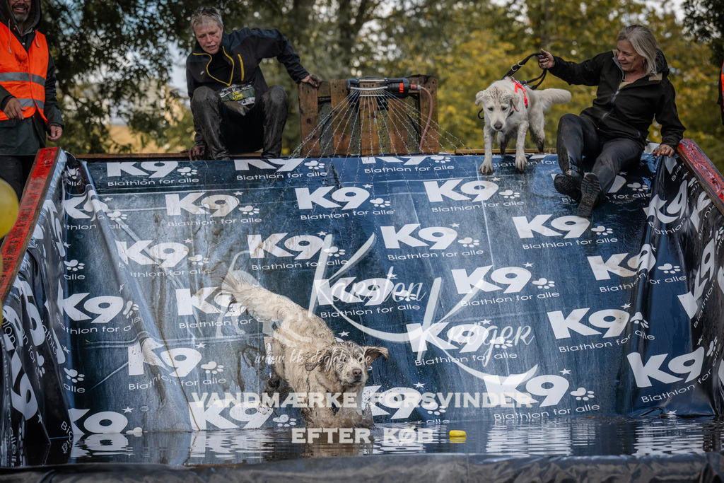 1548_ZZ90731 | kk-dogfotos