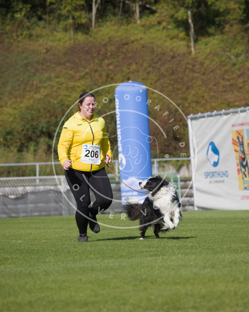 0L8A2370 | Hundefotografie, Tierfotograf, Pfotenfotografie, Fotoshooting Hund, Hunde Portrait, Hundesport, Hundeportraits, Heideshooting, Hunde, Sportfotograf, Hundefotograf, Turnierhundsport, THS,  - Realisiert mit Pictrs.com