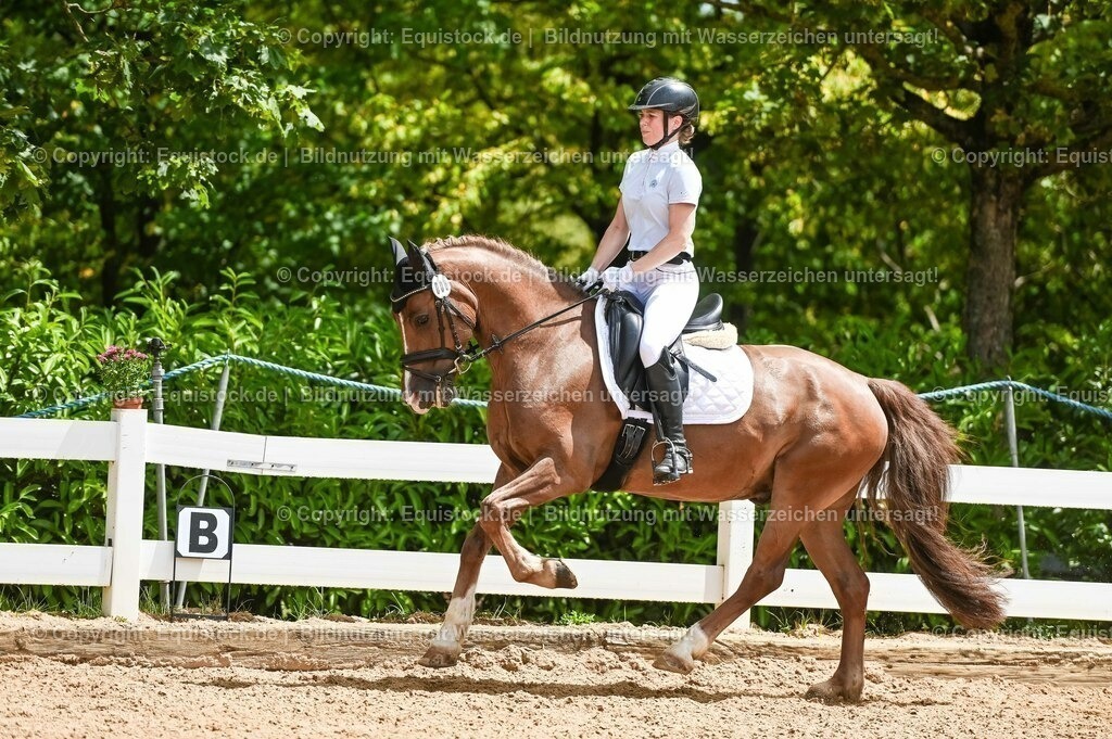 20230715_05_Dressurprüfung Kl.A++_0225 | equistock