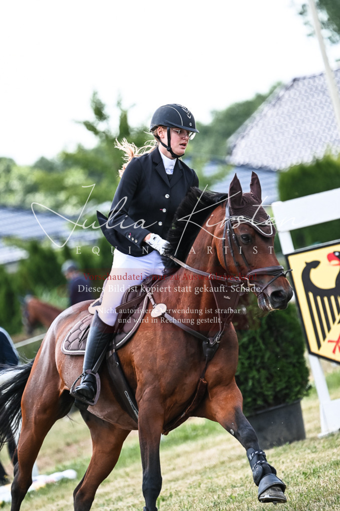 DSC_9055 | Pferde- und Turnierfotografie in Westsachsen. Pferdeportraits, Auftragszeichnungen und intuitive Kunst.
