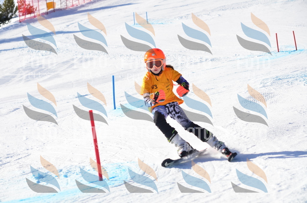 C6082 | holidayphoto