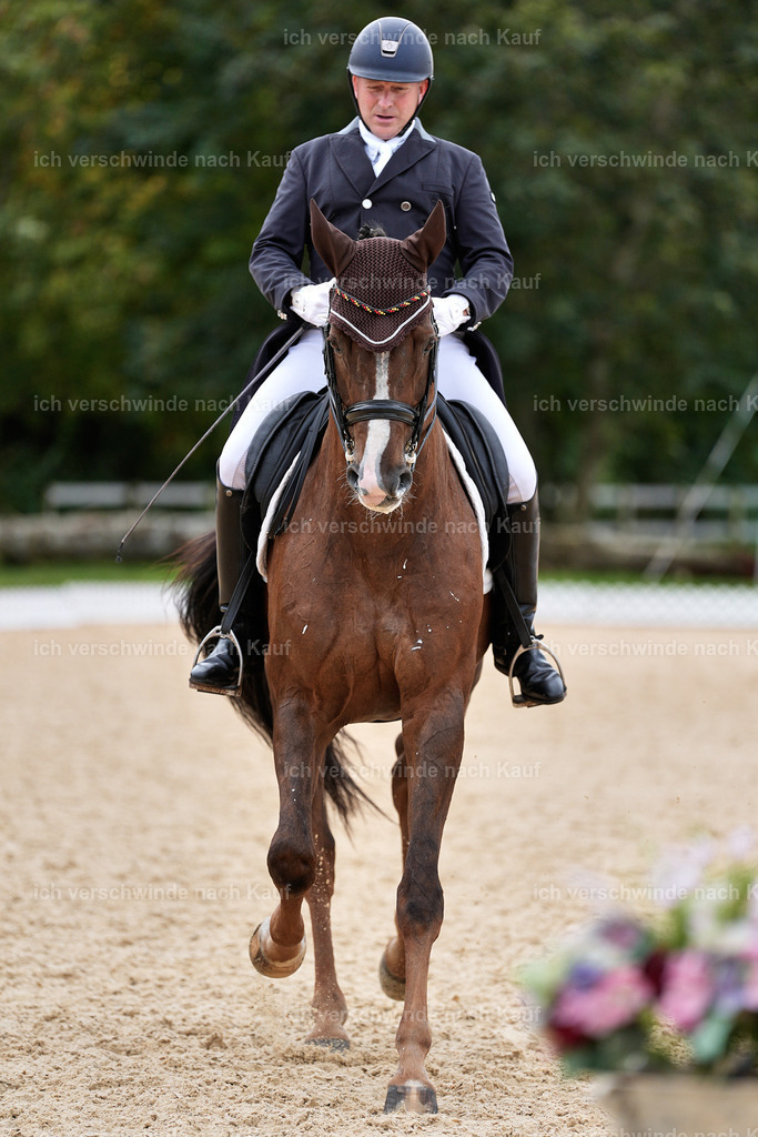 11-092-Dressur S___-Marixx-1593 | working equitationturnier fotograf videograf stoibphotography marixx film working equitation deutschland reitsport turnierfotografie eventfotografie equestrian events