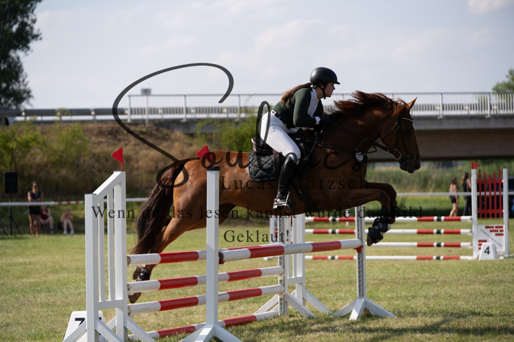 A7V00616 | Pferdefotograf