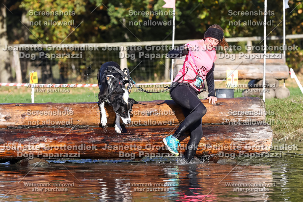 Dog Paparazzi - Strongdog 10-25-8816 | Dog Paparazzi Jeanette Grottendiek Fotografie & Videografie - Realisiert mit Pictrs.com