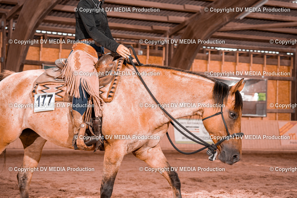 NE200530 | dv-media-shop - Realisiert mit Pictrs.com