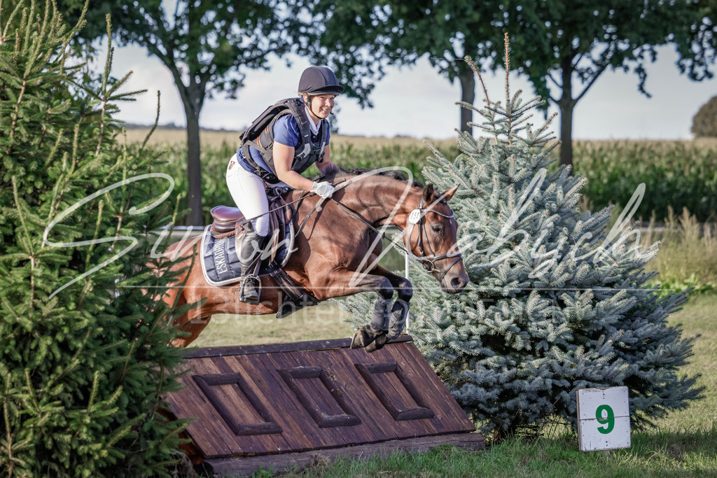 20250906-_3LI7944 | Tierfotografie Pferde, Hunde, Katzen, Haustiere.
Turnierfotografie Reitturniere, Reiten, Springreiten, Dressur in Hanau, dem Main-Kinzig-Kreis und dem Rhein-Main- Gebiet um Frankfurt