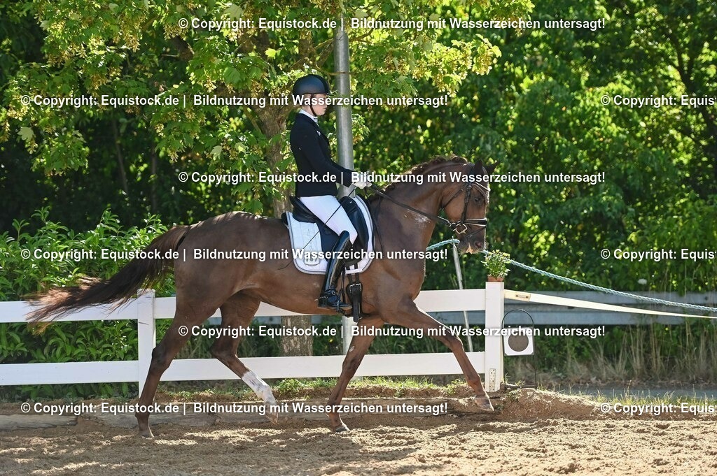 20230715_06_Dressurpferdeprfg. Kl.A_0421 | equistock