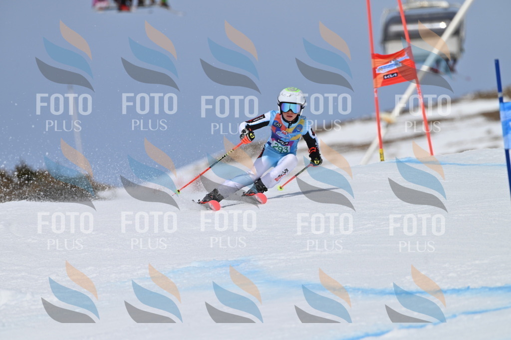 BGV_5846 | holidayphoto