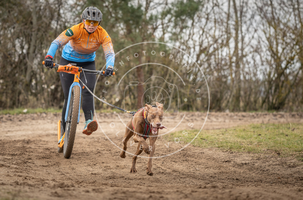 Pfotenfotografie_DV3A9405 | Hundefotografie, Tierfotograf, Pfotenfotografie, Fotoshooting Hund, Hunde Portrait, Hundesport, Hundeportraits, Heideshooting, Hunde, Sportfotograf, Hundefotograf, Turnierhundsport, THS,  - Realisiert mit Pictrs.com