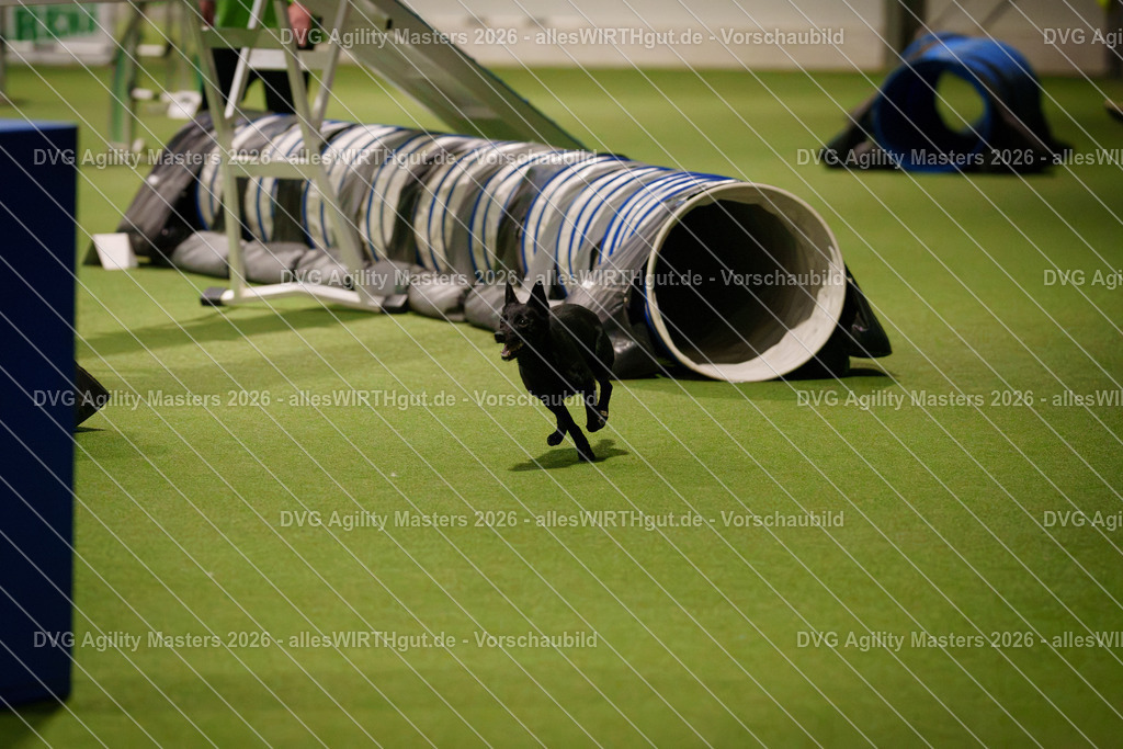 allesWIRTHgut_Tierfotografie-DVG_Agility_Masters_2026-17_07-7R505129 | Professionelle Tierfotografie in Mönchengladbach von Daniel Wirth (allesWIRTHgut). Liebevolle & natürliche Bilder von Hunden & Katzen für unvergessliche Erinnerungen.
