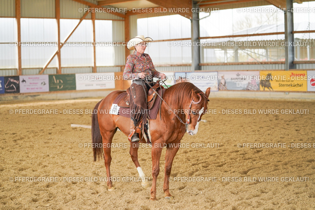 DSC03672 | Pferdegrafie