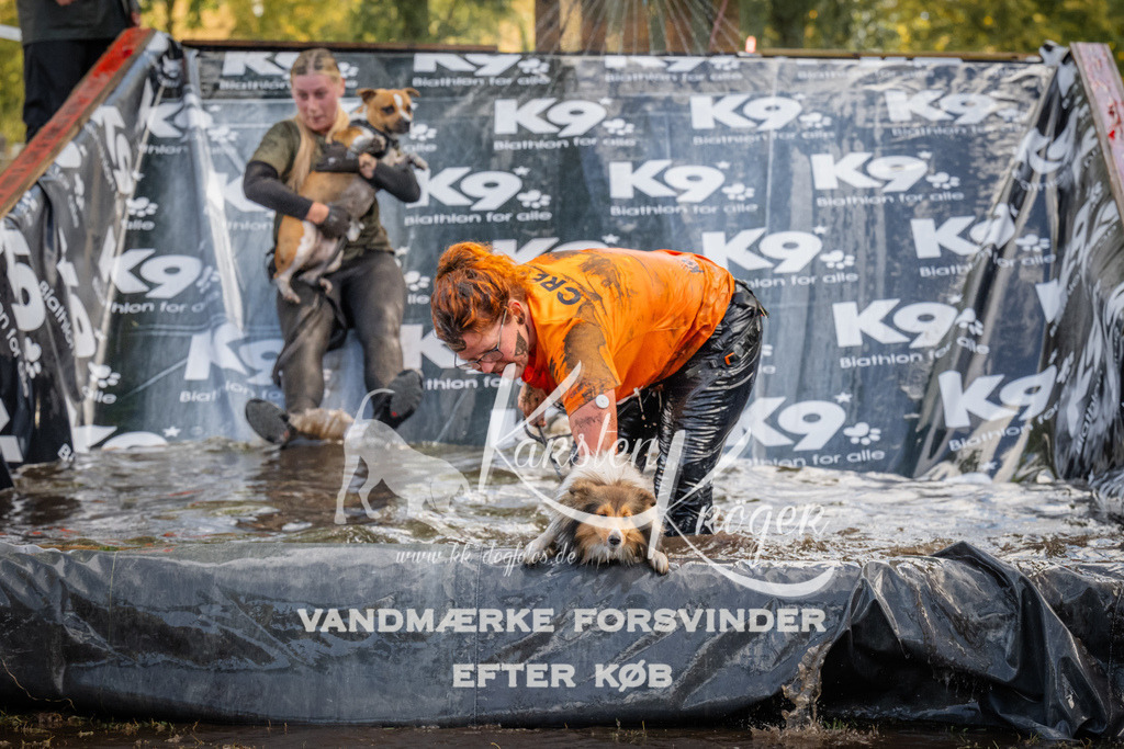 1534_ZZ90008 | kk-dogfotos