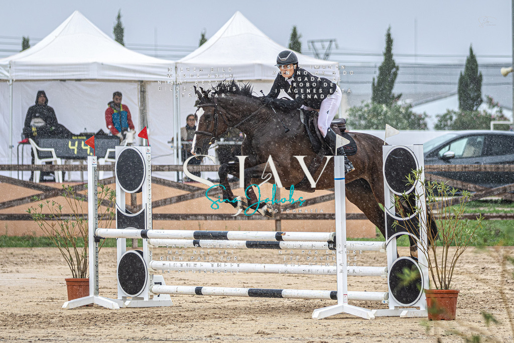 IMG_1817-Verbessert-RR | s-jay-photography - Realisiert mit Pictrs.com