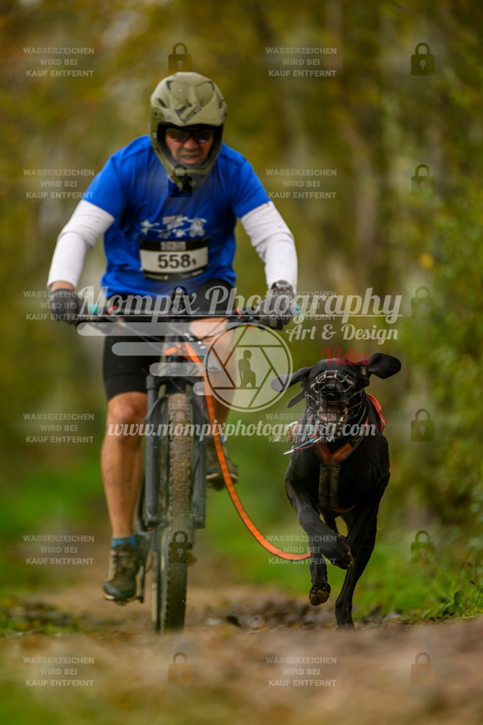 MompixPhotography_20TSB_E6_Bike-89 | mompixphotography