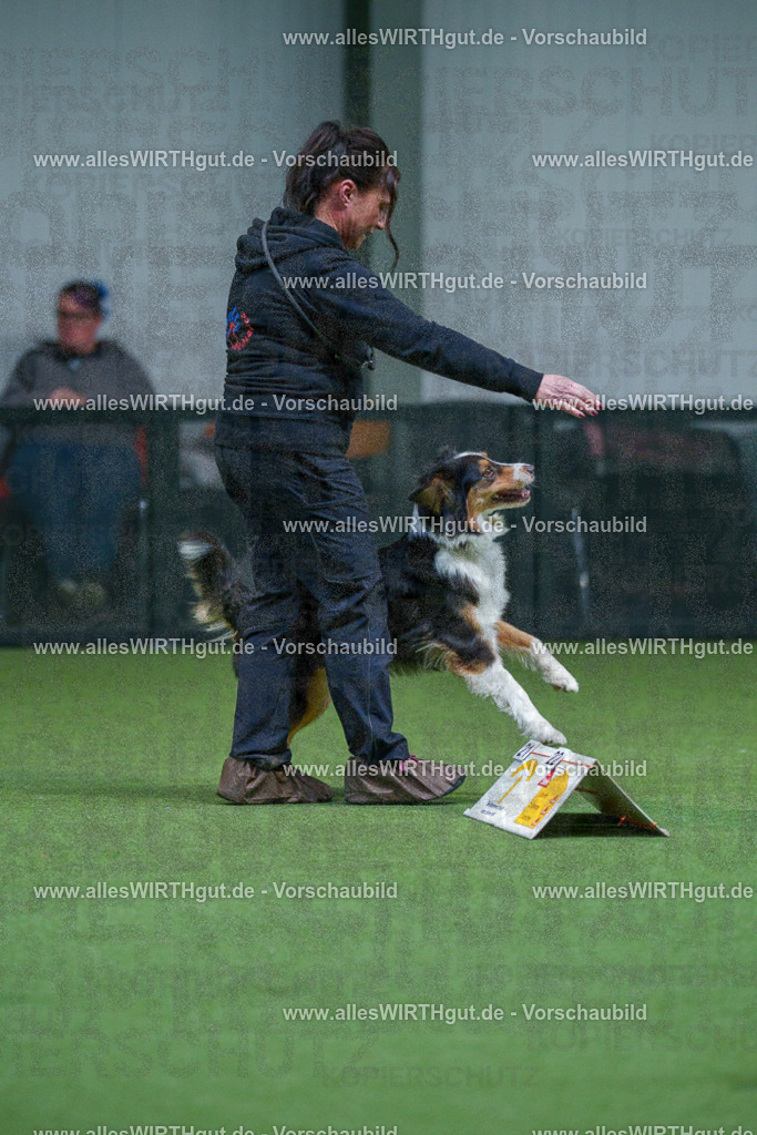 7R502042 | Professionelle Tierfotografie in Mönchengladbach von Daniel Wirth (allesWIRTHgut). Liebevolle & natürliche Bilder von Hunden & Katzen für unvergessliche Erinnerungen.