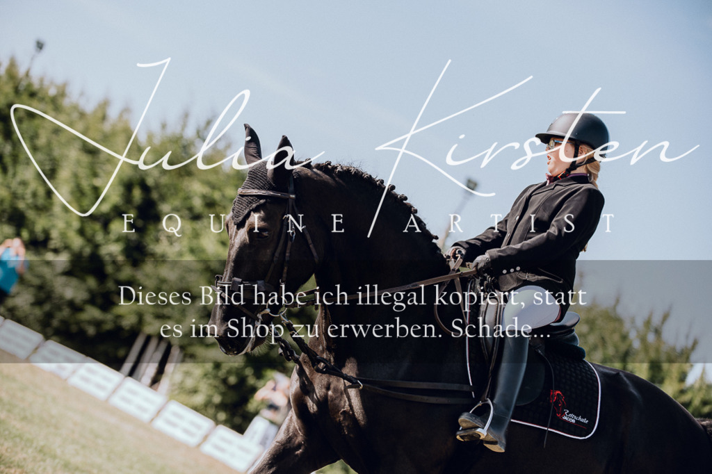 DSC_6917 | Pferde- und Turnierfotografie in Westsachsen. Pferdeportraits, Auftragszeichnungen und intuitive Kunst.