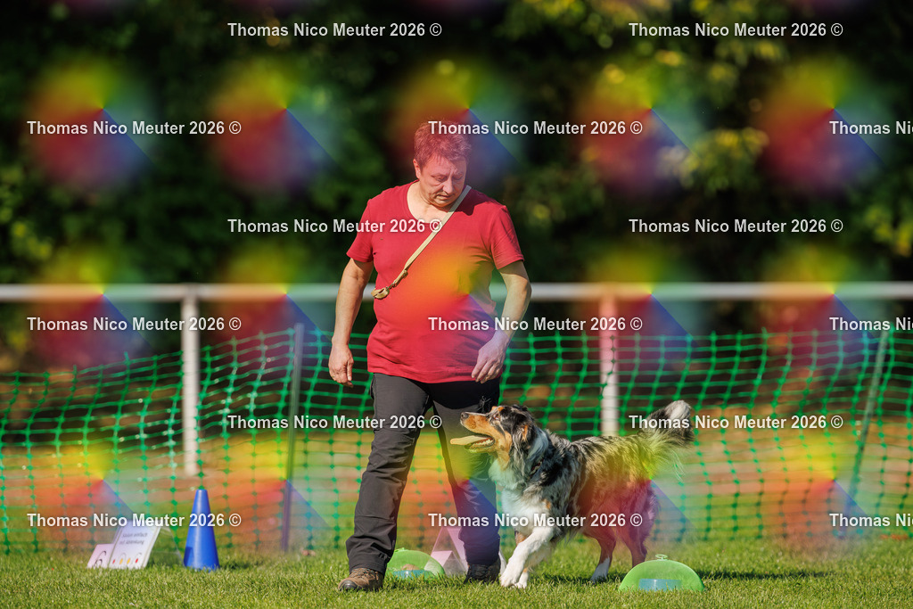 Thomas_Nico_Meuter(C)_04. Oktober 2026_223A2831 | Bild von Thomas Nico Meuter - Realisiert mit Pictrs.com