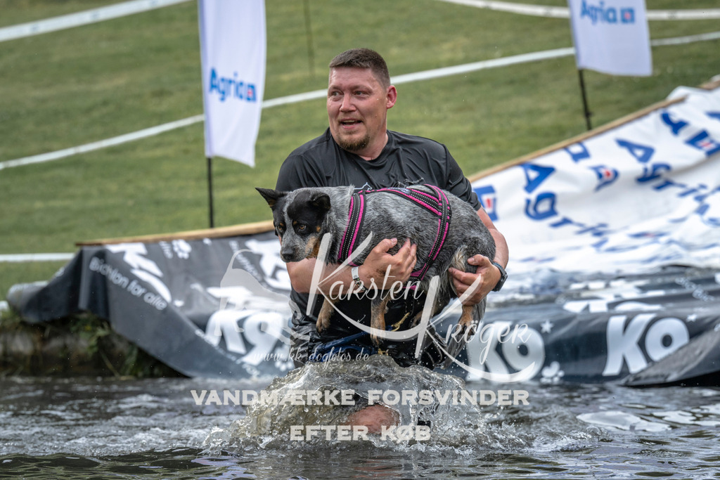 1556_ZZ96978 | kk-dogfotos
