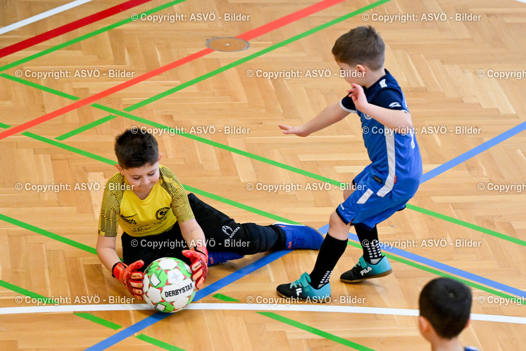 ASVÖ_ Fussballturnier SV Gallneukirchen_ 08.02.2025-86 | 08.02.2025, Gallneukirchen, AUT, ASVÖ, Fussball Nachwuchs Hallenturnier 2025, SV Gallneukirchen im Bild Teilnehmer U 7©Harald Dostal / fodo.media - Realisiert mit Pictrs.com