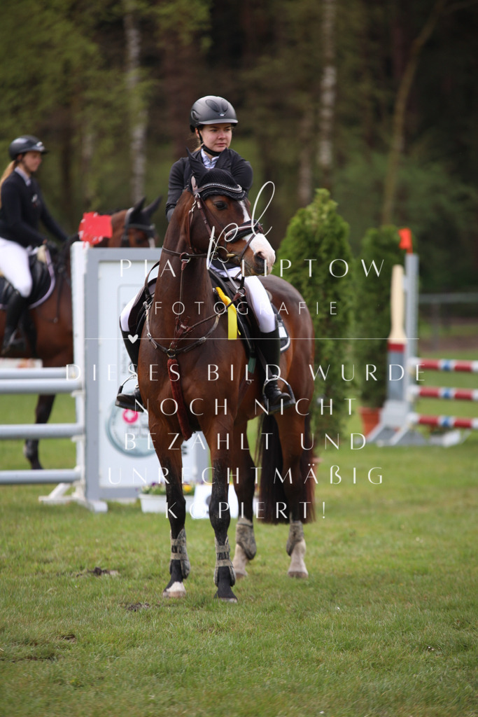 IMGT3323 | pl-fotografie