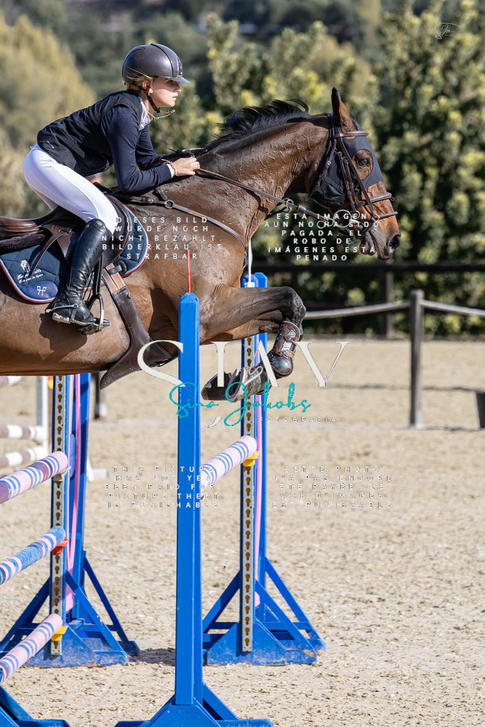 IMG_0677 | s-jay-photography - Realisiert mit Pictrs.com