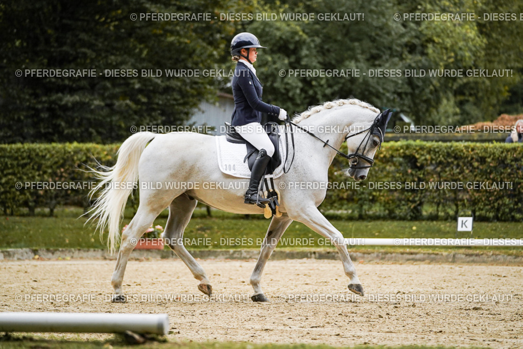 DSC06512 | Pferdegrafie