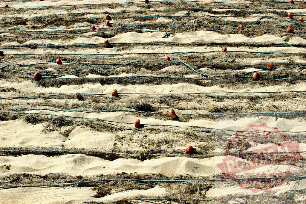 Fishing nets drying on sandy beach with buoys | Fishing nets and buoys drying under sun on a sandy beach - Realized with Pictrs.com