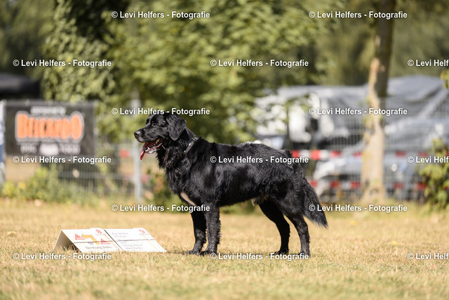 _DSC6385 | levihelfersfotografie