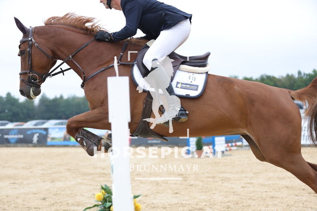 0P6A7004 | Willkommen bei Brunnmayr - Design & Fotografie – Ihrem Spezialisten für Reitturniere und Pferdeveranstaltungen in Oberösterreich, Salzburg und Bayern! Seit über 17 Jahren sind wir leidenschaftlich dabei.