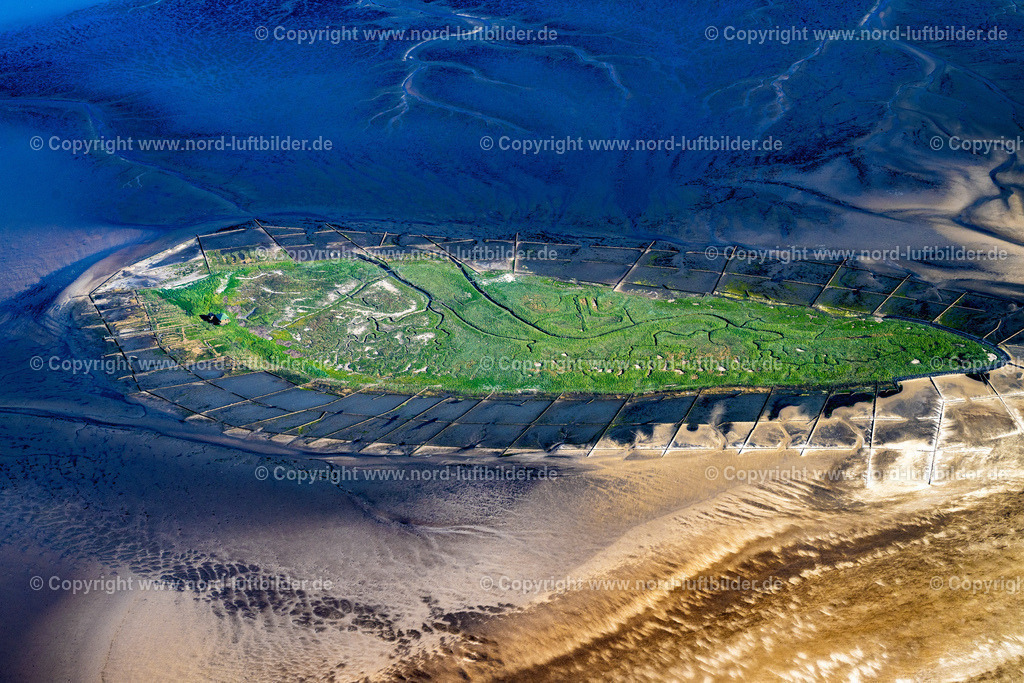 Norderoog_Hallig_ELS_8684300523 | NORDEROOG 30.05.2023 Küstenbereich und Naturschutzgebiet der Vogelfreistätte Hallig Norderoog im Bundesland Schleswig-Holstein, Deutschland. // Coastal area and nature reserve of the Hallig Norderoog bird sanctuary in the state Schleswig-Holstein, Germany. Foto: Martin Elsen