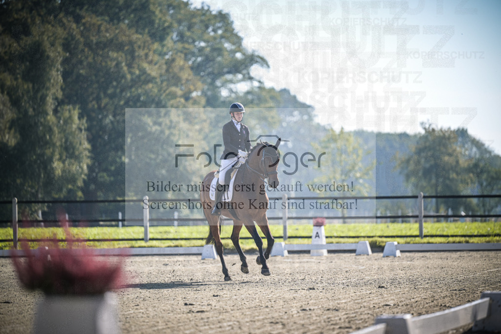 DOS_0175 | Entdecke hochwertige Reitturnierfotos von Foto Oger. Professionell, emotional und authentisch – jetzt Lieblingsmomente im Shop bestellen.Deutschlandweite Turnierfotografie. - Realisiert mit Pictrs.com