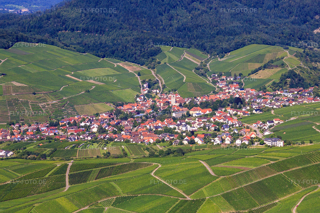 Luftbild: Winzerdorf in den Rebbergen im Ortsteil Altschweier in Bühl im Bundesland Baden-Württemberg in Deutschland. Foto: IMG_31379.jpg vom 09.08.2010 durch Werner Riehm/FLY-FOTO.de