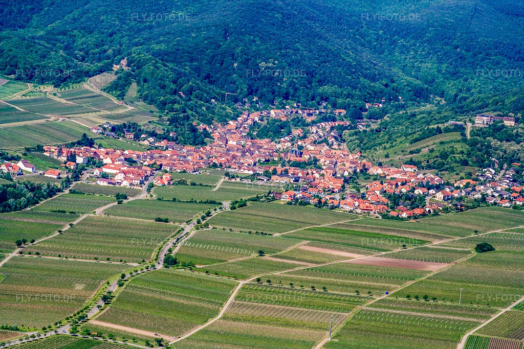 Luftbild: Ort am Gebirgsrand von Osten im Ortsteil Diedesfeld in Neustadt im Bundesland Rheinland-Pfalz in Deutschland. Foto: IMG_2176.jpg vom 03.06.2006 durch Werner Riehm/FLY-FOTO.de