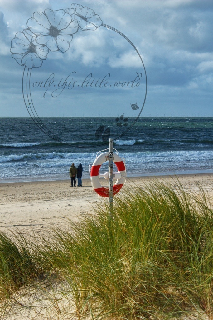 IMG_7979-01 | only.this.little.world - Realisiert mit Pictrs.com