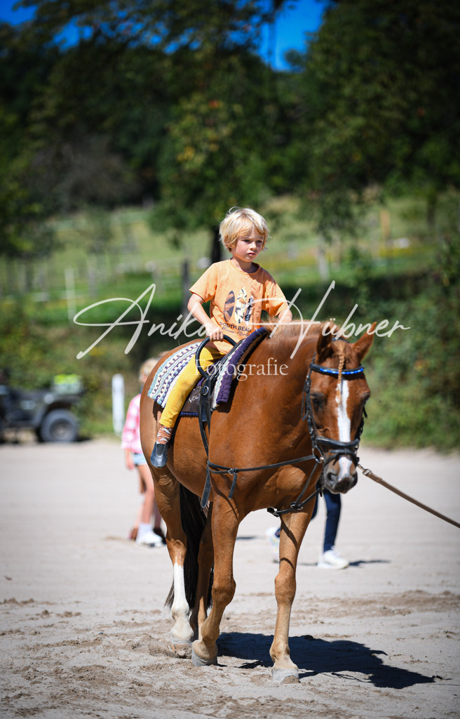 DSC_0612 | anikahuebner - Realisiert mit Pictrs.com