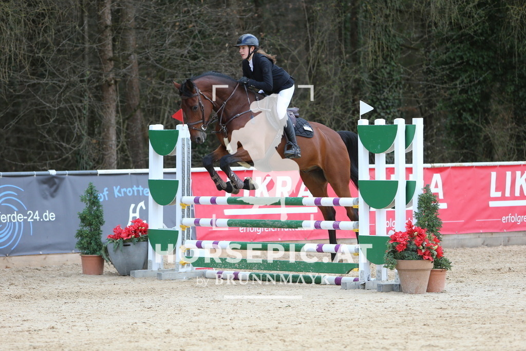 DL2Q9910 | Willkommen bei Brunnmayr - Design & Fotografie – Ihrem Spezialisten für Reitturniere und Pferdeveranstaltungen in Oberösterreich, Salzburg und Bayern! Seit über 17 Jahren sind wir leidenschaftlich dabei.