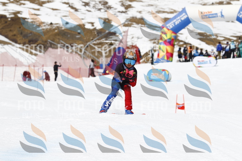 _U3G8376 | holidayphoto