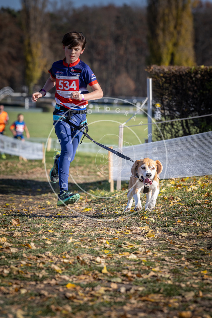 CaniXpix_DV3A8299 | Hundefotografie, Tierfotograf, Pfotenfotografie, Fotoshooting Hund, Hunde Portrait, Hundesport, Hundeportraits, Heideshooting, Hunde, Sportfotograf, Hundefotograf, Turnierhundsport, THS,  - Realisiert mit Pictrs.com
