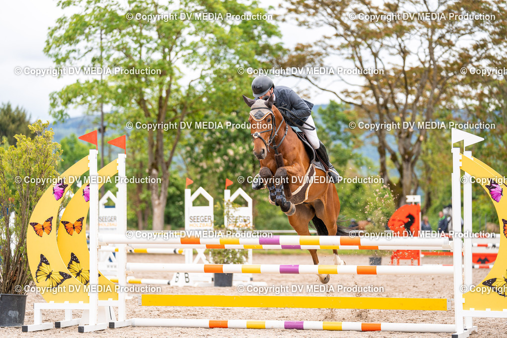 Eppelheim Tag 1-54 | dv-media-shop - Realisiert mit Pictrs.com