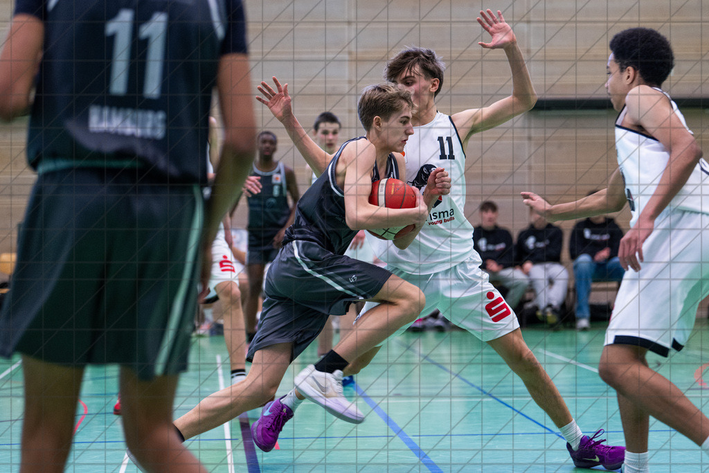 JBBL 24/25 | 02.02.2025 | Charisma Young Bulls vs. Bramfelder SV  | JBBL 24/25 | 02.02.2025 | Charisma Young Bulls vs. Bramfelder SV - - - - - CREDIT, www.bullenfotos.de, Martin König, Hörner Weg 40, D-49078 Osnabrück, +4917663732967, Nutzung und Weitergabe nur zu den vereinbarten Zwecken. Presseanfragen an Urheber. Alle Rechte beim Urheber. - - - - - - Realisiert mit Pictrs.com