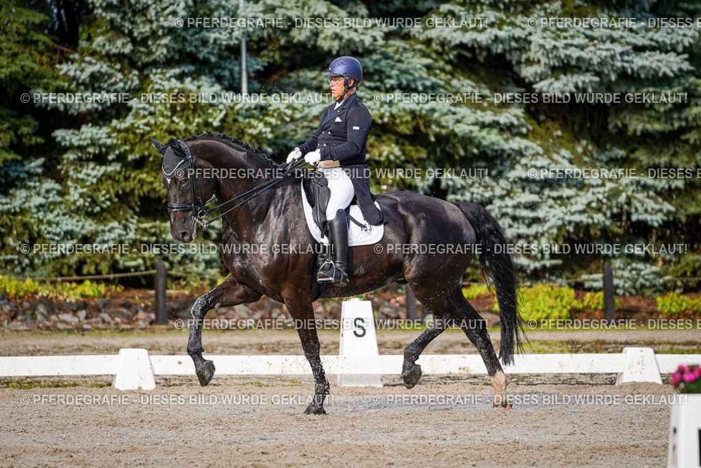 DSC00416 | Pferdegrafie