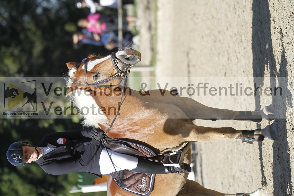 _MG_4376 | equestrian-live-com