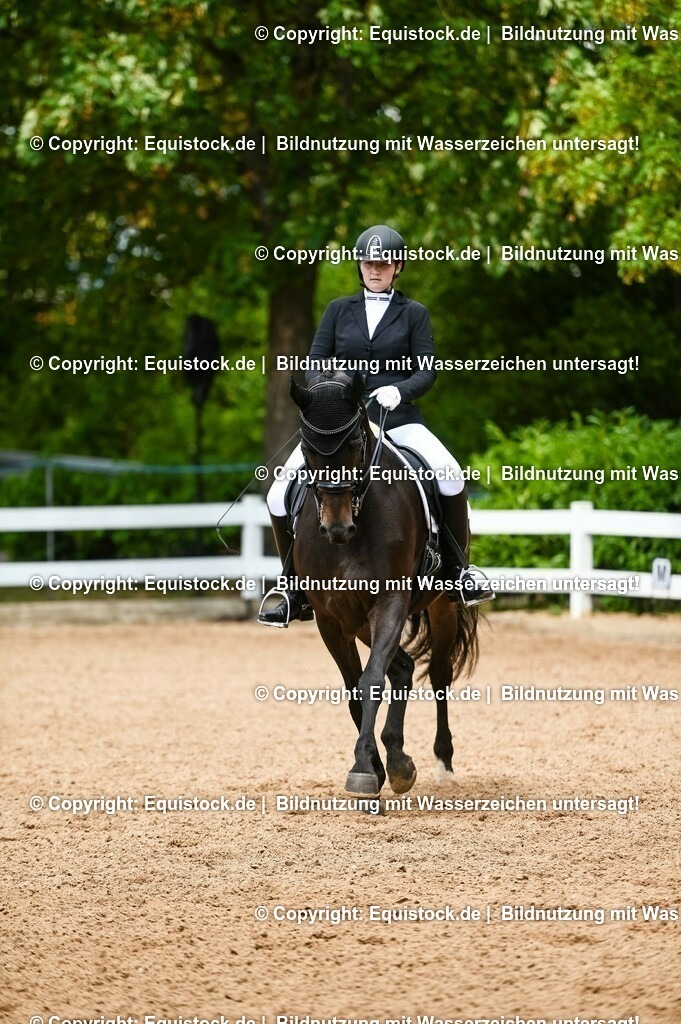 20230716_01_Dressurprüfung Kl.M_0122 | equistock