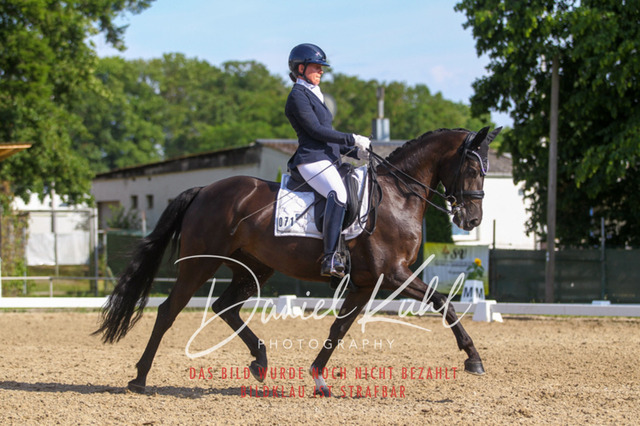 DKP41246 | Turniersportfotografie; Pferdefotografie; Dressurfotografie