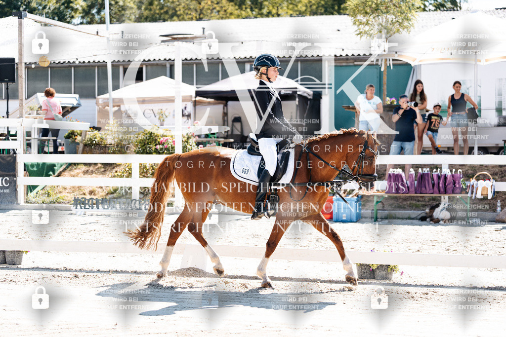 CK902210 | Turnierfotografie Pferdefotografie Trier Rheinland-Pfalz Pferdesport Reitsport Tierfotografie Sportfotografie Pferdevideo Pferdevideografie Equestrianvideography equestrianphotography  - Realisiert mit Pictrs.com